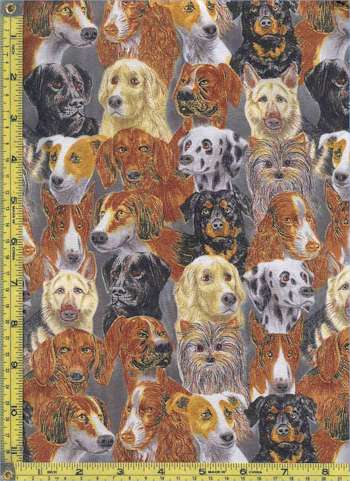 DOG-dog-C589