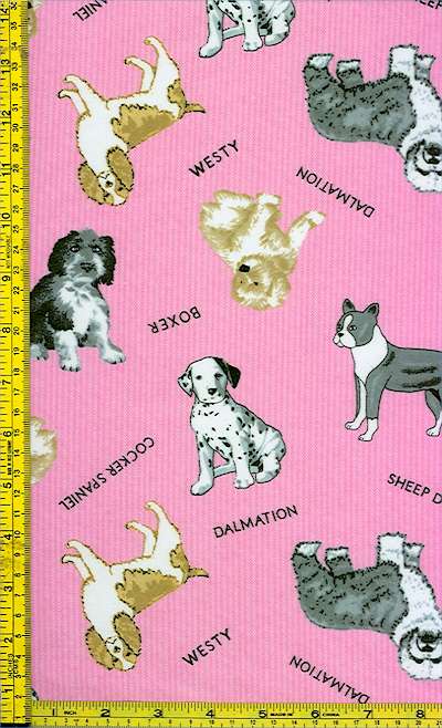 FLA-dogs-F331