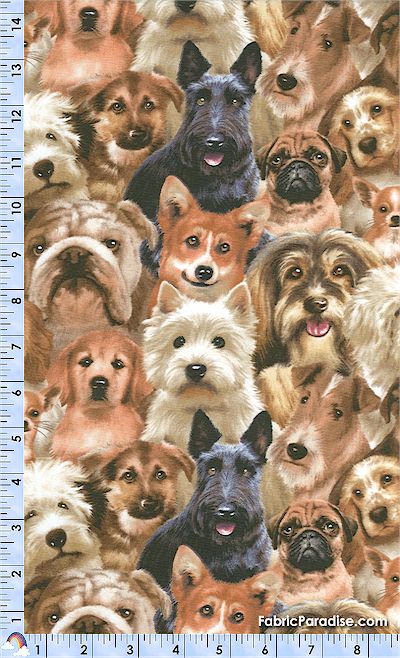 DOG-dogs-L98