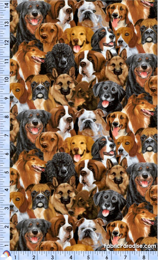 DOG-dogs-W965 DOG-dogs-W965