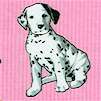 FLA-dogs-F331
