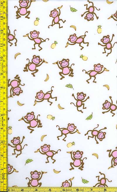 FLA-monkeys-F371 FLA-monkeys-F371