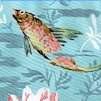 FISH-koi-C823