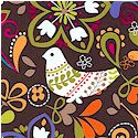 BI-birds-L231