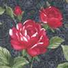 FLO-floral-C205