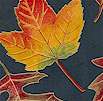 FLO-leaves-A119
