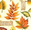 FLO-leaves-A53