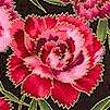 FLO-floral-G260