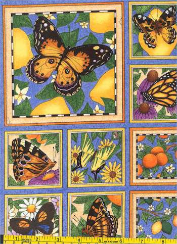 AN-butterflybox-708