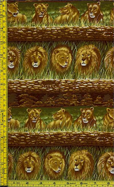 AN-lions-G499