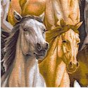 AN-horses-L493