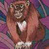 AN-jungle2-68
