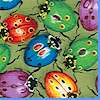 AN-ladybugs-E752
