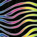 AN-zebra-S149