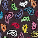 MISC-paisley-M500