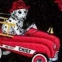 FIRE-firedup-U256