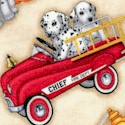 FIRE-firedup-U258