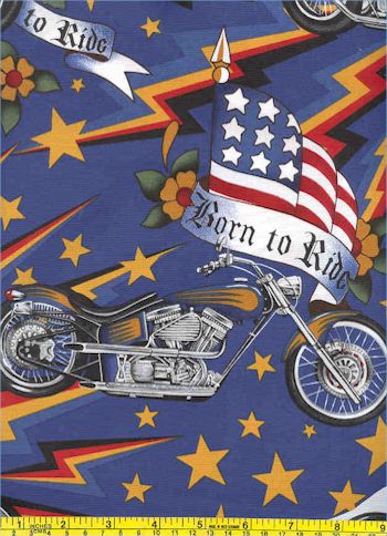 TR-motorcycle8-A539