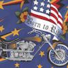 TR-motorcycle8-A539
