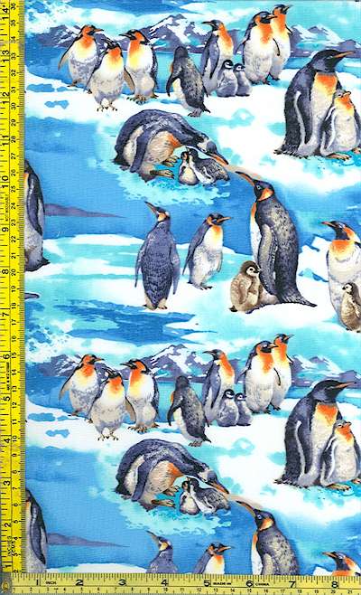 AN-penguin-E871
