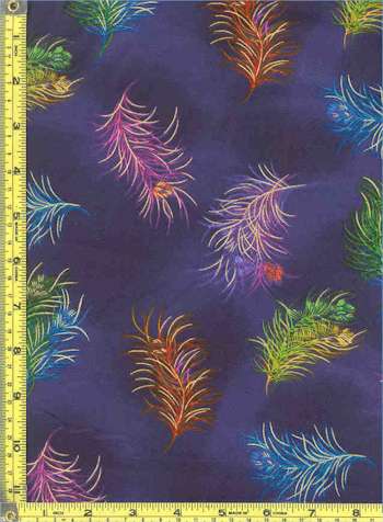 BI-plume-C226 BI-plume-C226