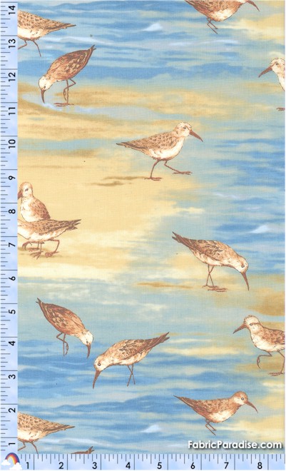 BI-sparrows-S142 BI-sparrows-S142