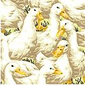 BI-ducks-M534