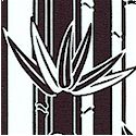 BW-bwbamboo-M861