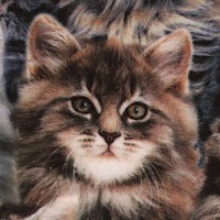One of a Kind - Kittens by Whistler Studios (Digital)
