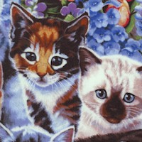 Kittens & Flowers - SALE! (MINIMUM PURCHASE 1 YARD)