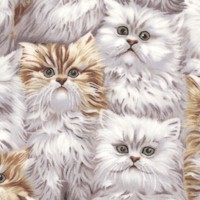 Best of Show - Small Furry Cats