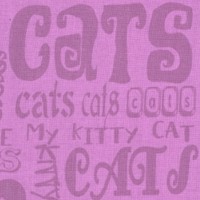 CAT-cats-BB362