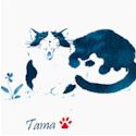 Tossed Playful Cats with Names in Blue  Red and Ivory