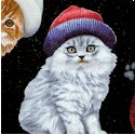 Adorable Pets - Tossed Cats in Hats on Black