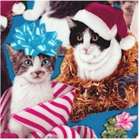Holiday Friends - Mischievous Christmas Cats 
