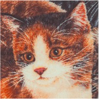 Sew Curious - Beautiful Cats Up Close by Anne Mortimer