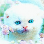 Kitty Glitter - Adorable Kittens, Flowers and Pearls