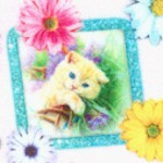 Kitty Glitter - Tossed Kittens in Frames with Flowers