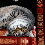 Playful Cats in the Library -  BACK IN STOCK!