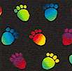 Rainbow Cat Paws on Black