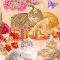 CAT-quilts-AA391