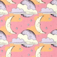 Dreamy - Moon Phases on Pink