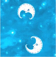 Night Owls - Tossed Crescent Moons and Stars on Aqua