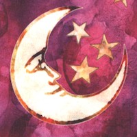 Moonshadow - Elegant Batik Style Celestial on Magenta by Dan Morris