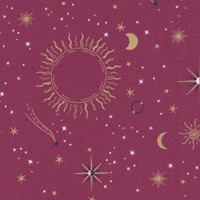 Orbit - Sun, Moon and Stars on Plum by Whistler Studios