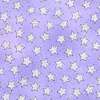 Metallic Silver Stars on Lavender