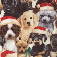 Fireside Pups - Packed Festive Puppies by Robert Giordano