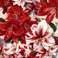 Holly Jolly Christmas - Beautiful Amaryllis by Mary Lake Thompson