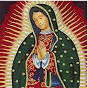 Virgin of Guadalupe - Gilded Portraits with Cherubs on Black - BACK IN STOCK!