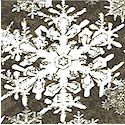 Wintergraphix - Large Snowflakes in Black  White and Gray by Jason Yenter- LTD. YARDAGE AVAILABLE (.